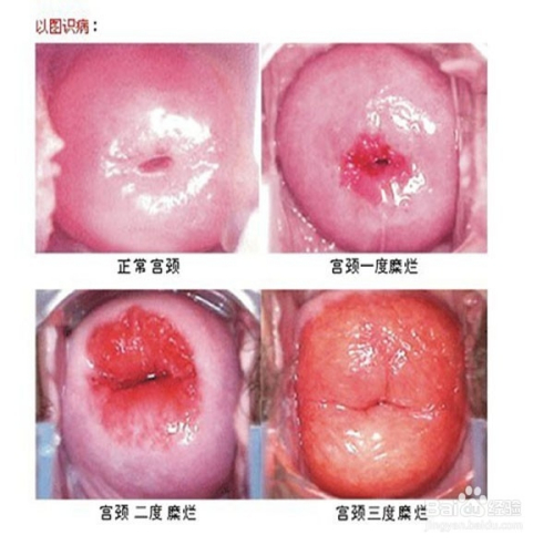 新聞動態(tài) 第1055頁