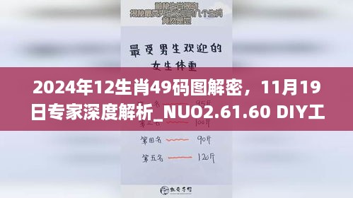 2024年12生肖49碼圖解密，11月19日專家深度解析_NUO2.61.60 DIY工具版