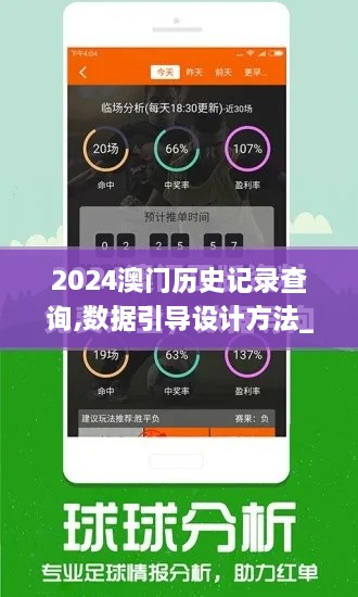 2024澳門(mén)歷史記錄查詢(xún),數(shù)據(jù)引導(dǎo)設(shè)計(jì)方法_YXE43.779外觀版