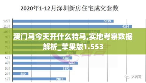 澳門馬今天開什么特馬,實地考察數(shù)據(jù)解析_蘋果版1.553