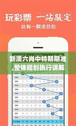 新澳六肖中特期期準(zhǔn),整體規(guī)劃執(zhí)行講解_PT1.206