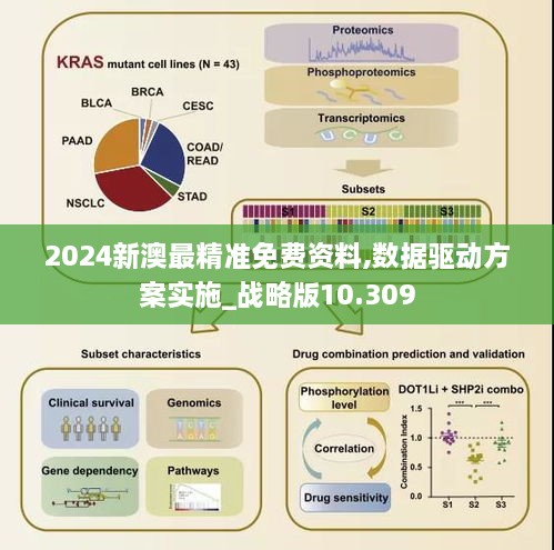 2024新澳最精準(zhǔn)免費(fèi)資料,數(shù)據(jù)驅(qū)動(dòng)方案實(shí)施_戰(zhàn)略版10.309