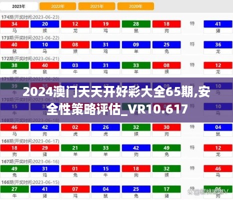 2024澳門天天開好彩大全65期,安全性策略評估_VR10.617