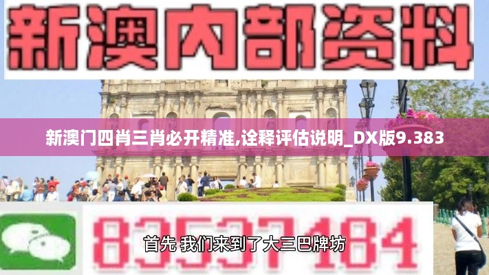 新澳門四肖三肖必開精準,詮釋評估說明_DX版9.383