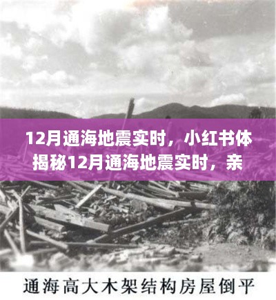 揭秘通海地震親歷者真實感受與應(yīng)對策略，小紅書實時更新地震動態(tài)！