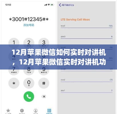 12月蘋果微信實(shí)時(shí)對講機(jī)功能使用指南，步驟詳解與操作技巧