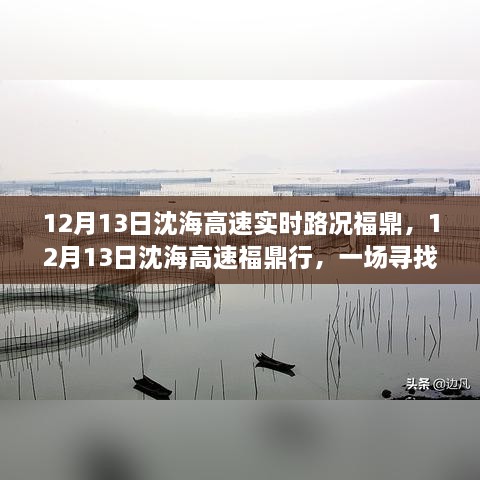 12月13日沈海高速福鼎路況實時更新，心靈與自然之旅的親密接觸