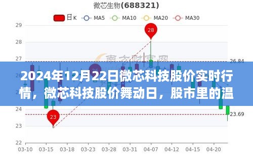 微芯科技股價(jià)實(shí)時(shí)行情解析，股市中的溫情故事在舞動(dòng)日展現(xiàn)（2024年12月22日）