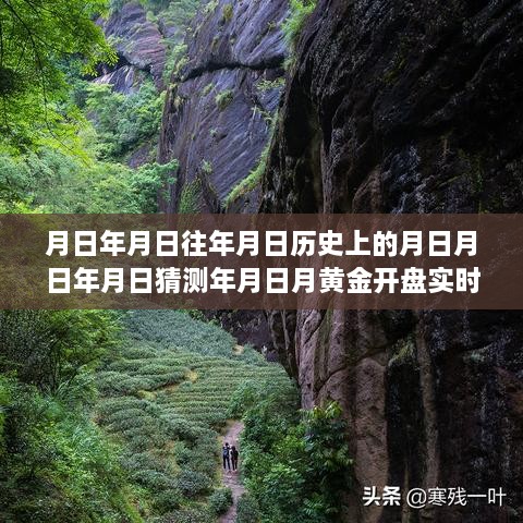 黃金行情揭秘，歷史、預(yù)測與實(shí)時(shí)動態(tài)的交織