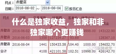 什么是獨(dú)家收益，獨(dú)家和非獨(dú)家哪個(gè)更賺錢 