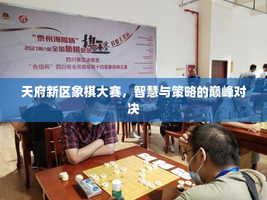 天府新區(qū)象棋大賽，智慧與策略的巔峰對(duì)決