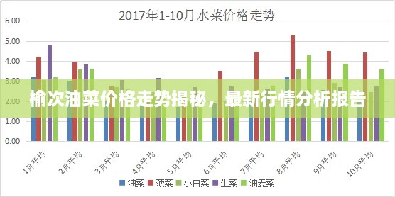 榆次油菜價格走勢揭秘，最新行情分析報告