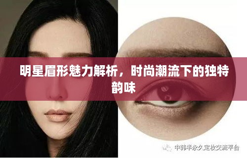 明星眉形魅力解析，時尚潮流下的獨特韻味