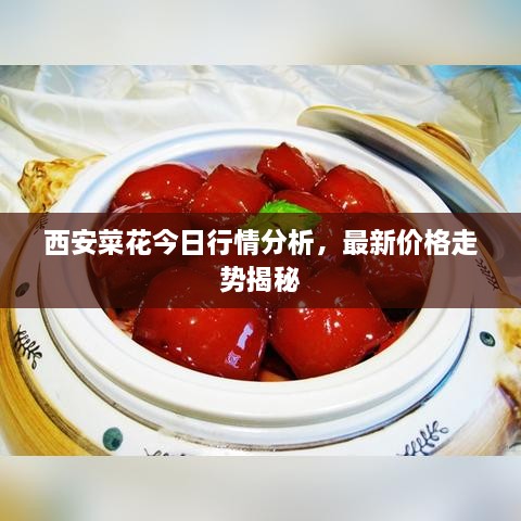 西安菜花今日行情分析，最新價(jià)格走勢(shì)揭秘