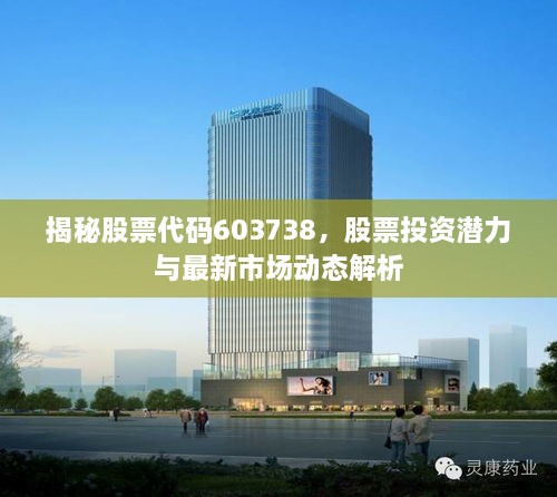 揭秘股票代碼603738，股票投資潛力與最新市場動態(tài)解析