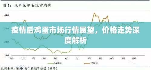 疫情后雞蛋市場(chǎng)行情展望，價(jià)格走勢(shì)深度解析