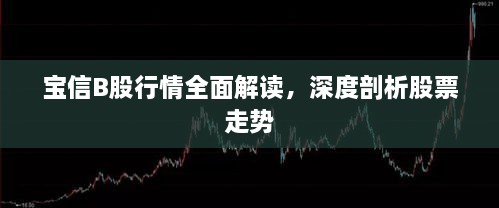 寶信B股行情全面解讀，深度剖析股票走勢