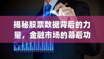 揭秘股票數(shù)據(jù)背后的力量，金融市場的幕后功臣