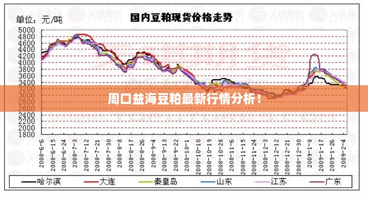 周口益海豆粕最新行情分析！