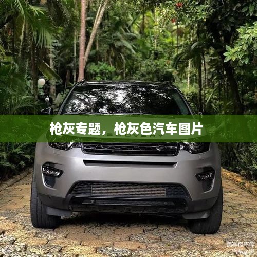 槍灰專題，槍灰色汽車圖片 