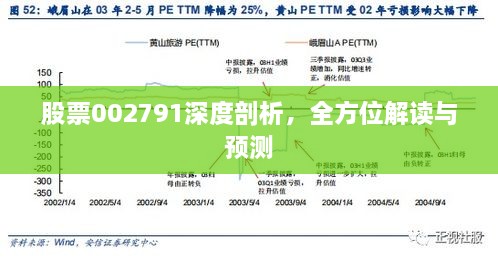 股票002791深度剖析，全方位解讀與預測