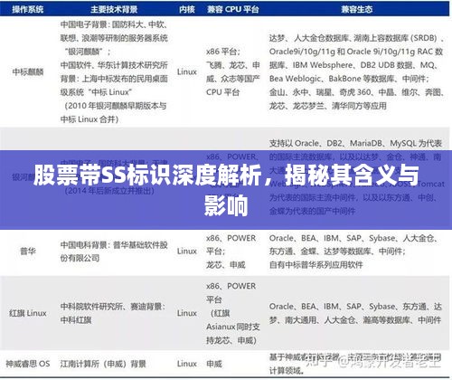 股票帶SS標(biāo)識深度解析，揭秘其含義與影響