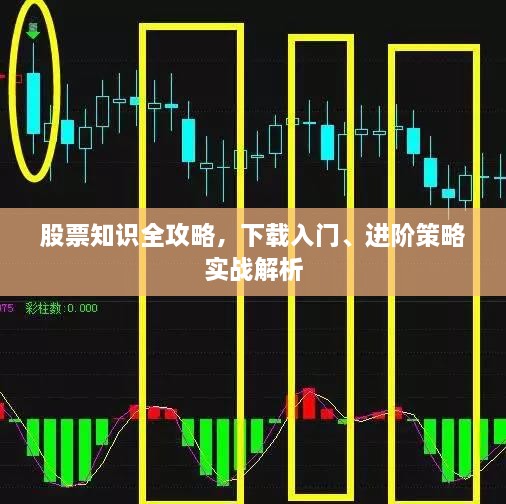 股票知識(shí)全攻略，下載入門、進(jìn)階策略實(shí)戰(zhàn)解析