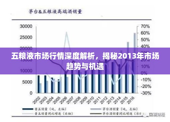 五糧液市場(chǎng)行情深度解析，揭秘2013年市場(chǎng)趨勢(shì)與機(jī)遇