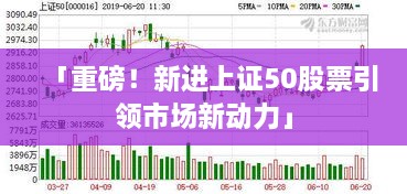 「重磅！新進(jìn)上證50股票引領(lǐng)市場新動力」