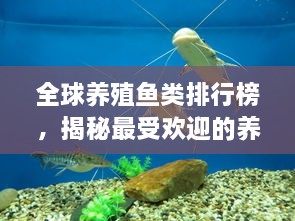 全球養(yǎng)殖魚類排行榜，揭秘最受歡迎的養(yǎng)殖魚類種類！