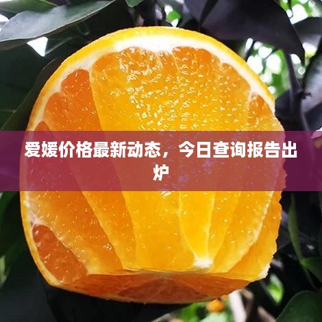 愛媛價(jià)格最新動(dòng)態(tài)，今日查詢報(bào)告出爐