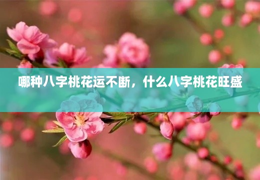 哪種八字桃花運不斷，什么八字桃花旺盛 