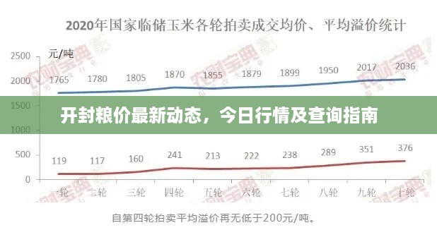 開封糧價最新動態(tài)，今日行情及查詢指南