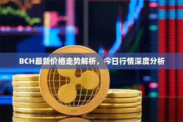 BCH最新價(jià)格走勢(shì)解析，今日行情深度分析