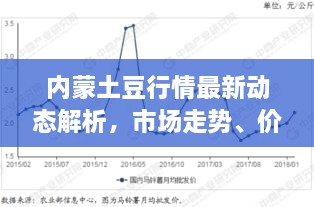 內(nèi)蒙土豆行情最新動態(tài)解析，市場走勢、價格及影響因素全解析