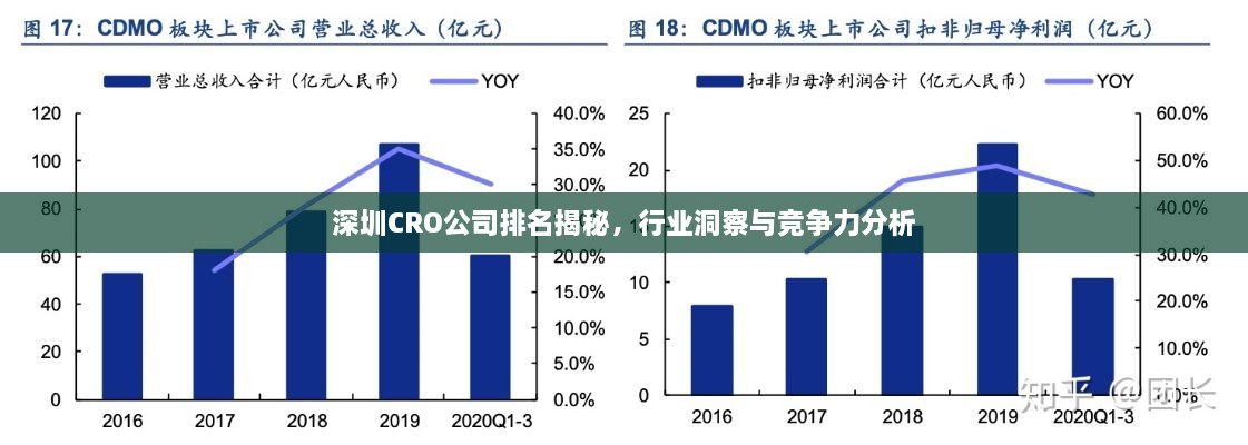 深圳CRO公司排名揭秘，行業(yè)洞察與競爭力分析