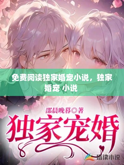 免費(fèi)閱讀獨家婚寵小說，獨家婚寵 小說 