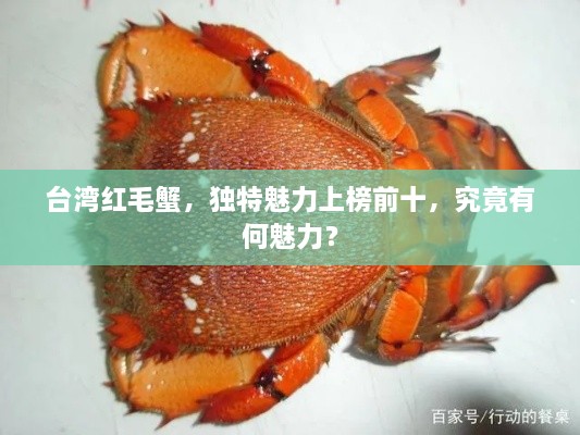 臺(tái)灣紅毛蟹，獨(dú)特魅力上榜前十，究竟有何魅力？