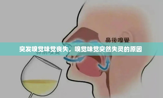 突發(fā)嗅覺味覺喪失，嗅覺味覺突然失靈的原因 