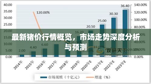 最新豬價(jià)行情概覽，市場(chǎng)走勢(shì)深度分析與預(yù)測(cè)