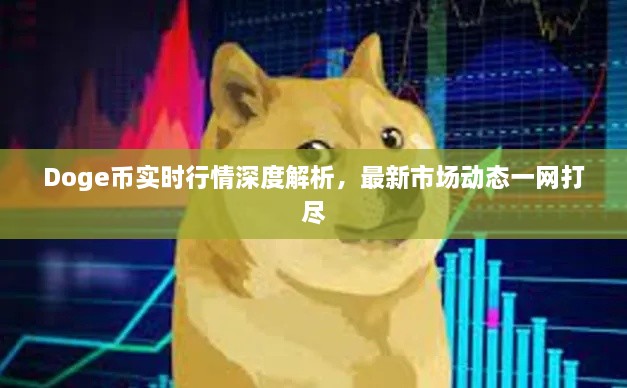 Doge幣實時行情深度解析，最新市場動態(tài)一網(wǎng)打盡