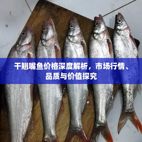 干翹嘴魚價格深度解析，市場行情、品質與價值探究