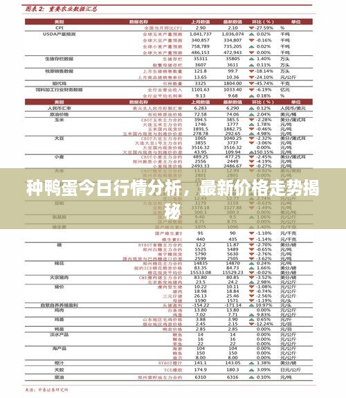 種鴨蛋今日行情分析，最新價格走勢揭秘