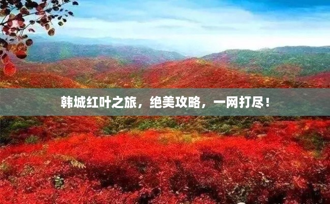 韓城紅葉之旅，絕美攻略，一網(wǎng)打盡！