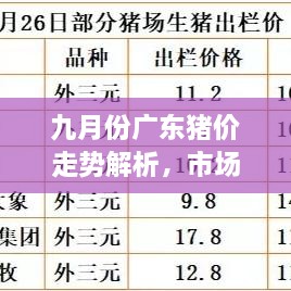 九月份廣東豬價走勢解析，市場行情、價格變動一網(wǎng)打盡