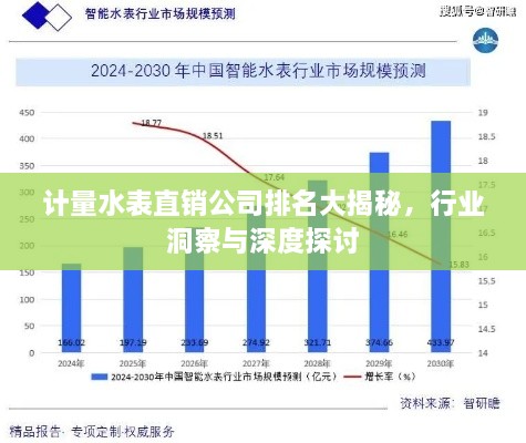 計(jì)量水表直銷公司排名大揭秘，行業(yè)洞察與深度探討