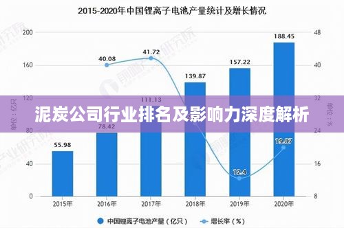 泥炭公司行業(yè)排名及影響力深度解析