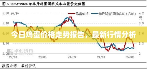 今日雞蛋價格走勢報告，最新行情分析