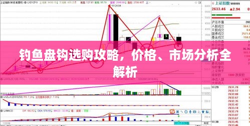 釣魚盤鉤選購攻略，價格、市場分析全解析