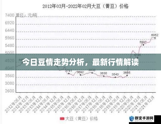 今日豆情走勢分析，最新行情解讀